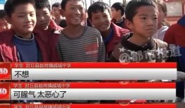 河南姐夫哥最新爆料新闻,揭秘惊人内幕，引发社会热议